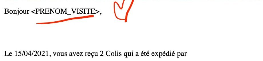 Un mail qui commence par « Bonjour <PRENOM_VISITE>, »